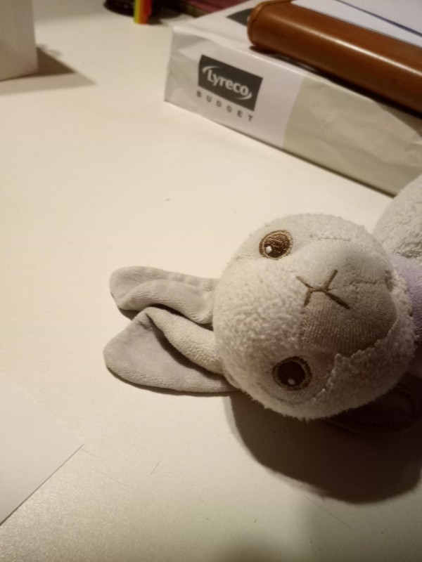 doudou lapin perdu dans l'avion Air France/HOP Vol A53080 Nantes-Marseille du 27/12/18