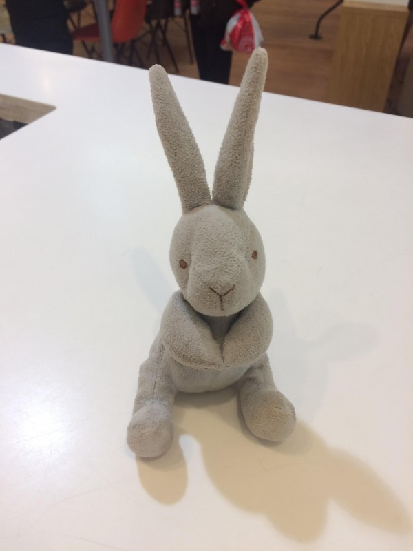Doudou lapin gris trouvé Paris 7ème magasin Conran Shop