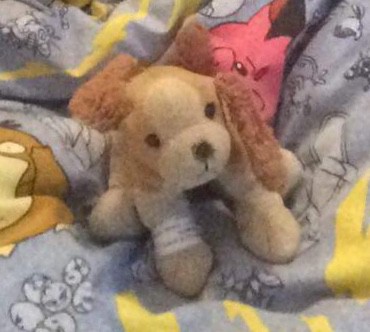 Doudou Chien perdu