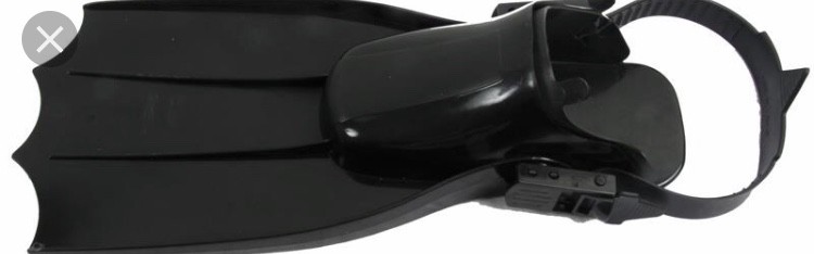 Palmes float tube Cosson Vineuil-Blois