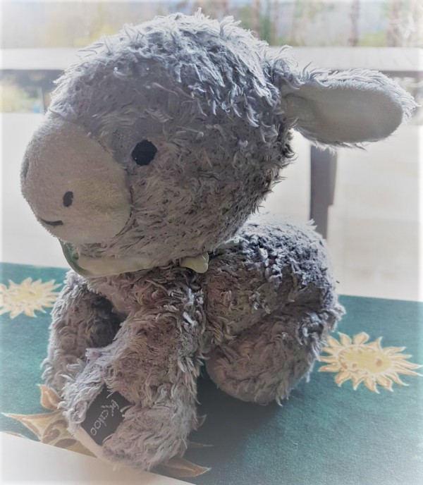 doudou, petit ane gris perdu quartier Grand Rue Strasbourg