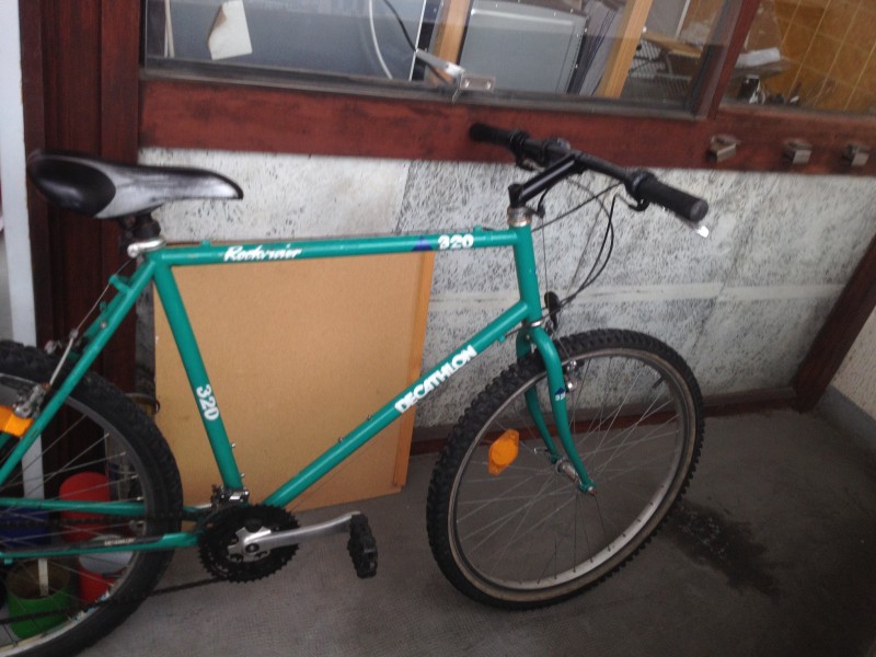 VTT vert volé Pau