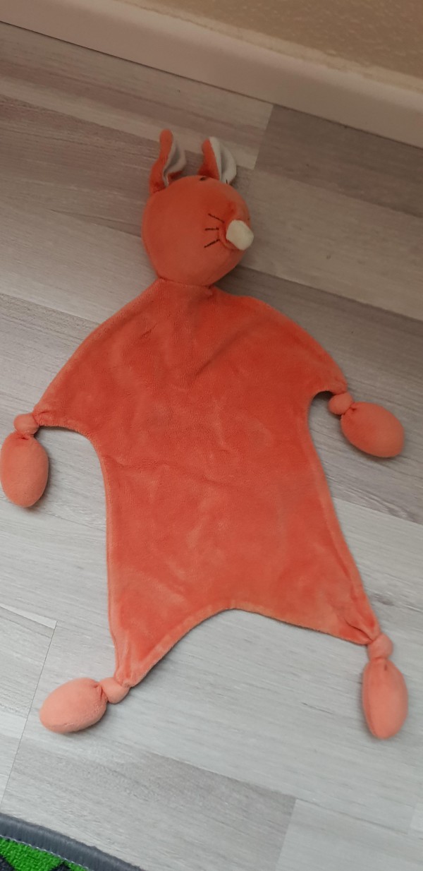 Perdu Doudou