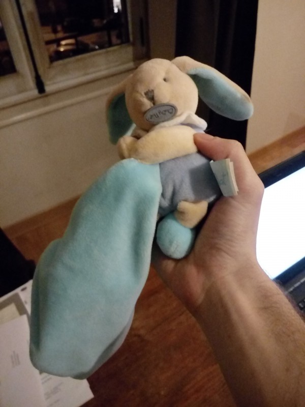 Doudou à Rennes près du musée des Beaux-Arts