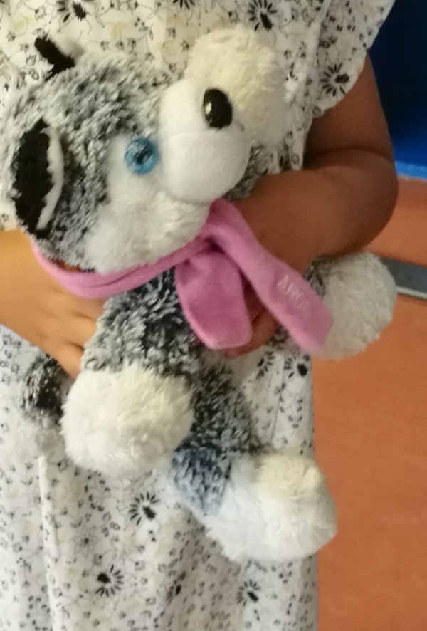 Doudou chien husky