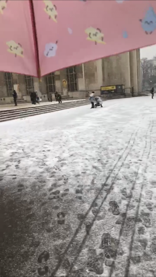 J’ai perdu un parapluie rose avec des nuages, vers 10h30 dans le metro 6 (direction Nation). Je suis entrée au Trocadéro et je suis sortie à Pasteur pour prendre le metro 12