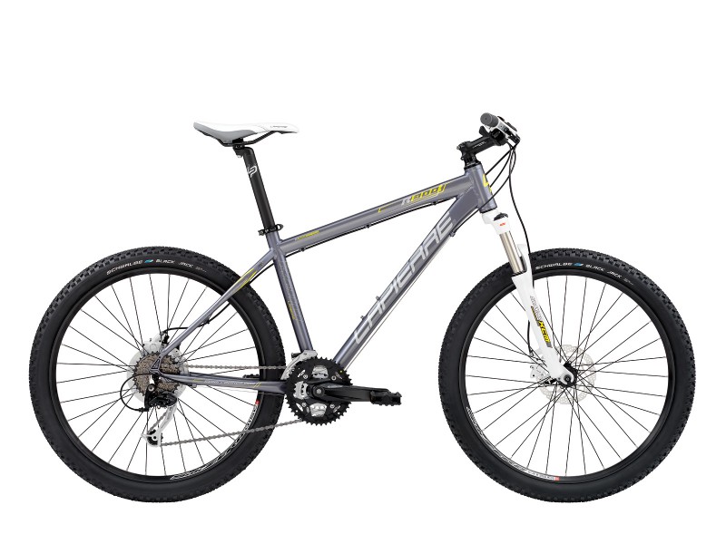 Vélo et son Antivol perdu, récompense !