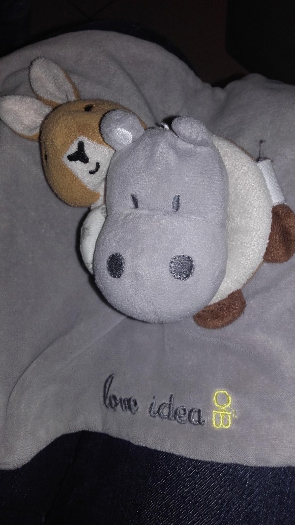 Doudou perdu au Distri Center Le Neubourg