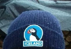 Perdu bonnet bleu marine en laine avec motif oiseau macareux
