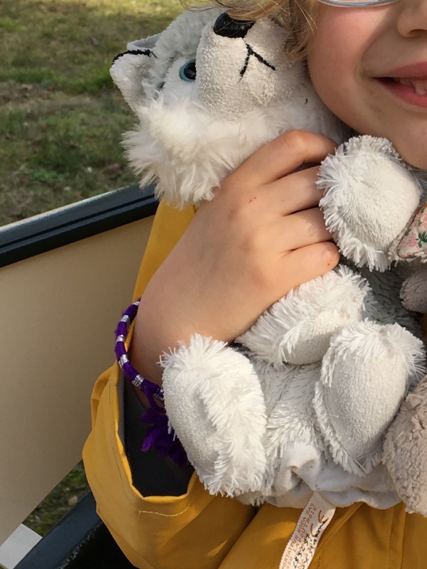 Perdu doudou Huskies