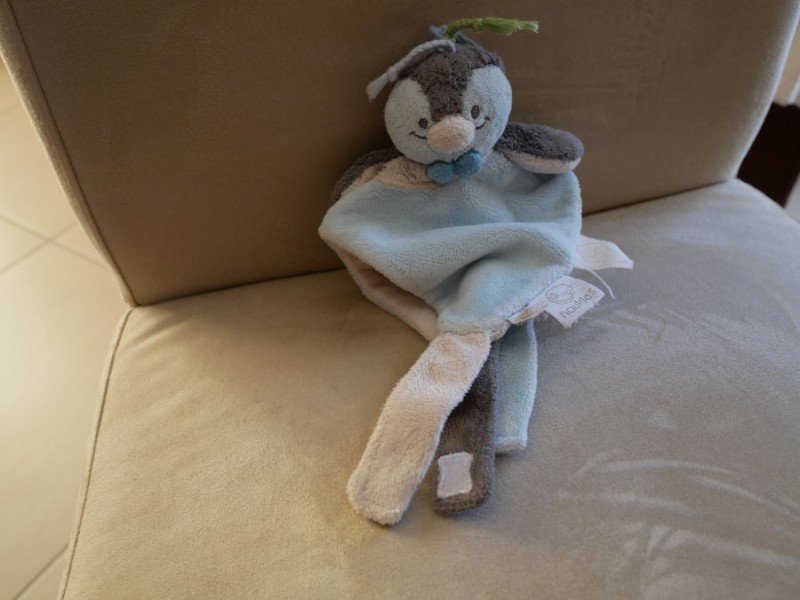 Perdu Doudou Gradignan