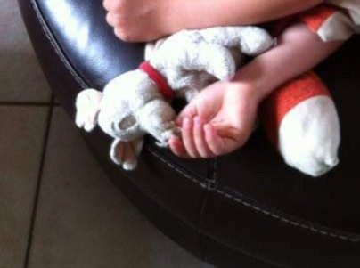 perdu doudou peluche Dalmatien