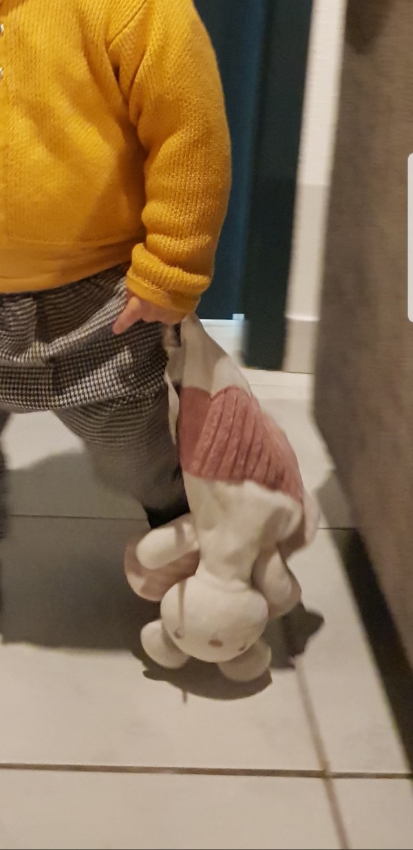 Doudou à Toulouse, proximité parking Victor Hugo