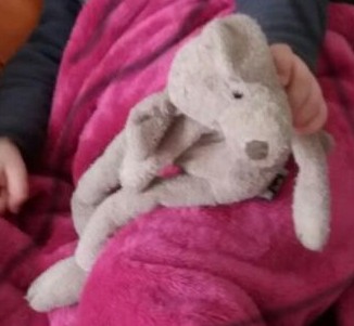 perdu doudou chien marque Jellycat, Le Mans