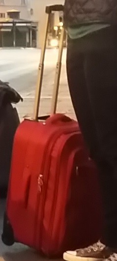 Valise dans soute OUIBUS le 23/10/2018, envoi à Paris confirmé par le Chauffeur