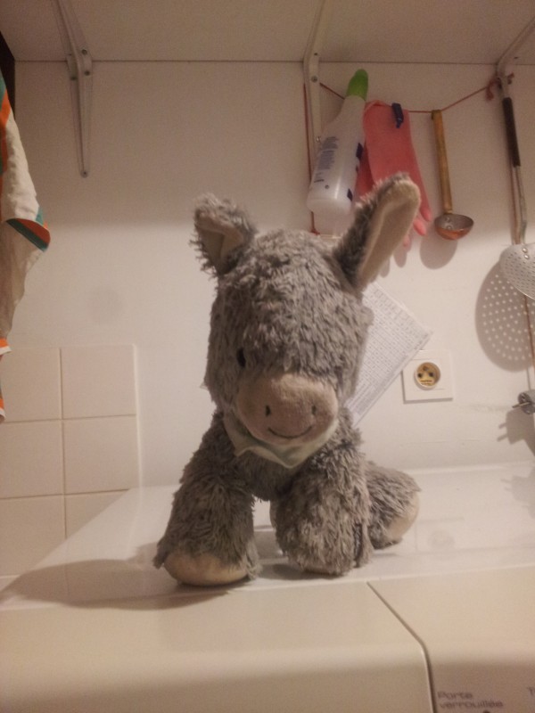 Doudou trouvé à Auch (32000)