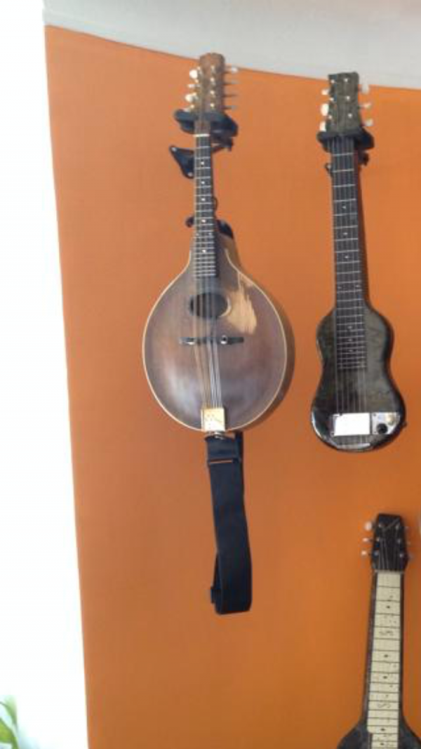 Mandoline Gibson sur la ligne E du RER