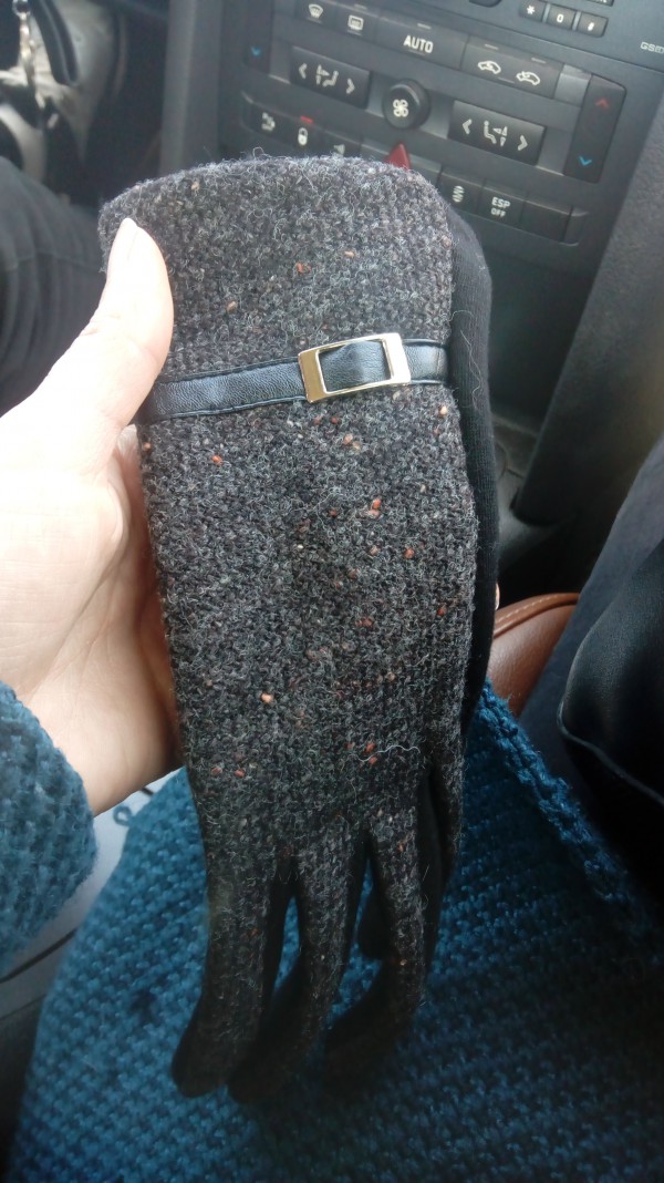 Un gant gris chiné sur le parking de l'hôpital Louis Pradel à Bron.