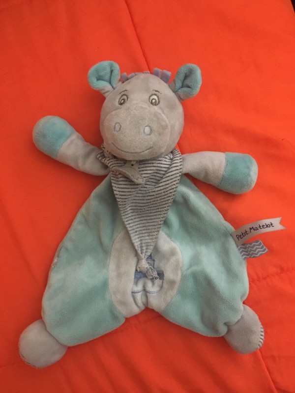 Doudou Hippopotame, trouvé à Aix en Provence, Avenue Gaston Berger