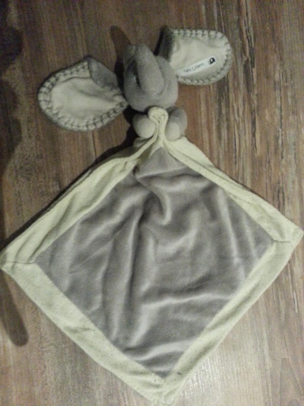 Perdu Doudou éléphant dumbo beige gare Lille Flandres ou dans le train de 14h45 en direction de Bordeaux