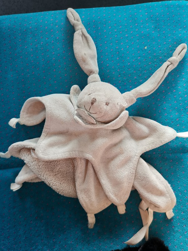 Doudou trouvé dans OUIGO 13 AVRIL