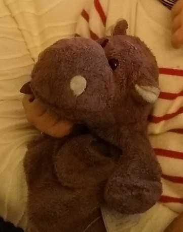 Doudou de mon fils