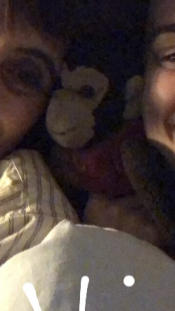 Singe en peluche