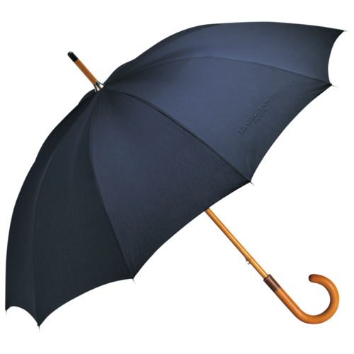 Perdue parapluie bleu foncé avion aer lingus