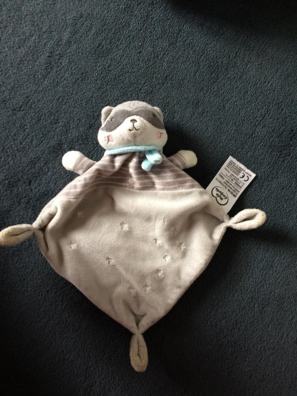 Doudou plat raton laveur