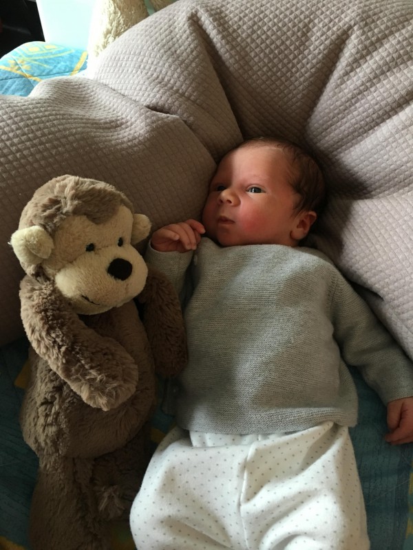 Doudou singe Jellycat Gradignan