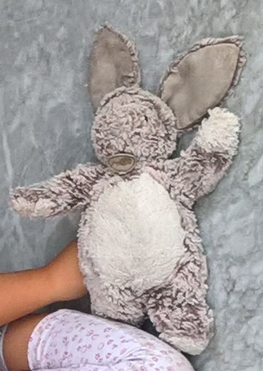 perdu doudou lapin parking du carrefour express de St Marcel les valence