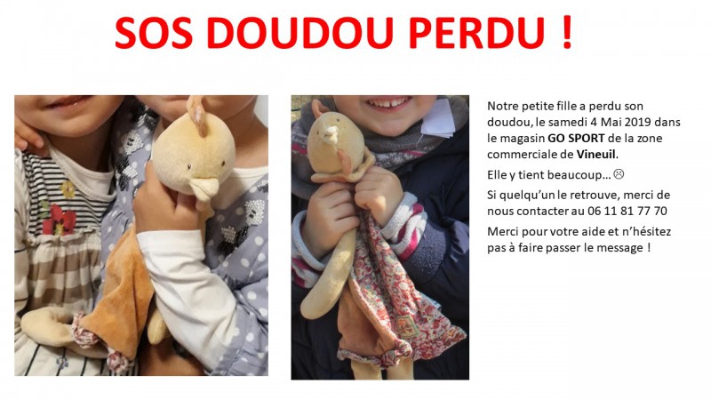 Perdu Doudou Vineuil (41) GO SPORT le 4 Mai 2019