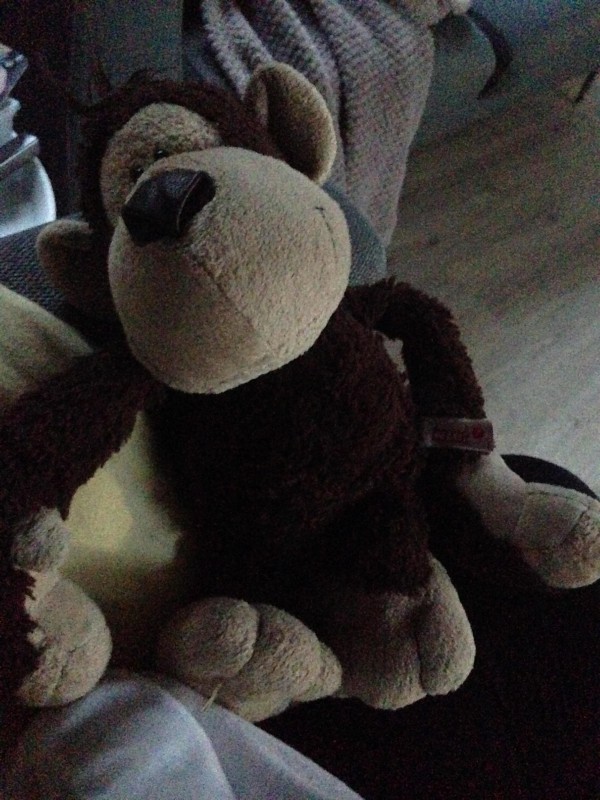Peluche Singe Grenoble Marque Nici
