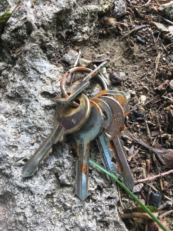 Trouvé trousseau de clés au bois de Vincennes sur un rocher