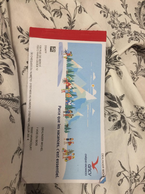 Perdu carnet de chèques vacances à Reims, secteur opéra/cathédrale/rue Chanzy