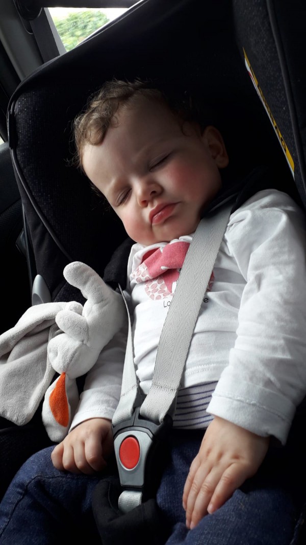 Perdu Doudou Lapin