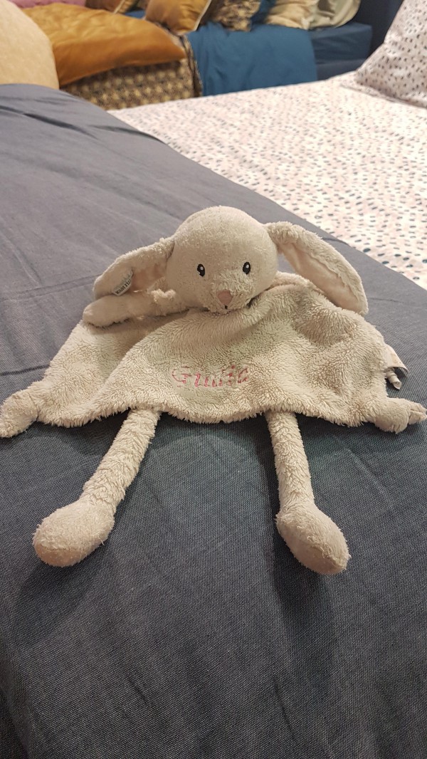 Doudou trouvé chez Alinéa 77240 dimanche 02/06 inscrit Giulia