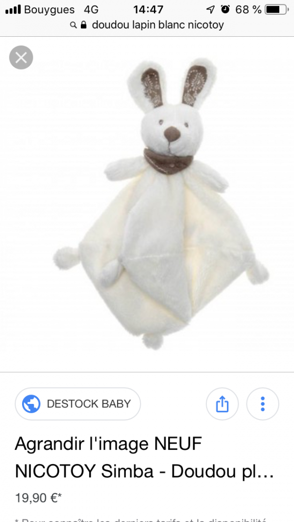 Perdu 2 doudous lapin blanc Toulouse