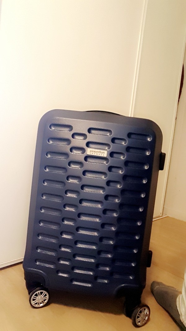 Échange de valise sur le train Francfort - Paris Est