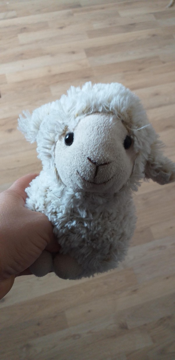 Perdu doudou petit mouton