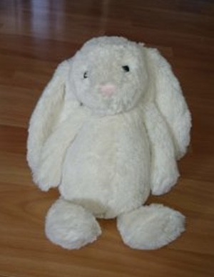 Perdu doudou lapin plan d’eau du Canada à Beauvais