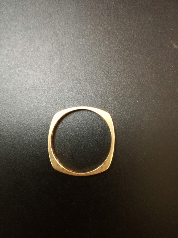 Trouvé alliance au camping Les Pins de La Coubre à La Palmyre