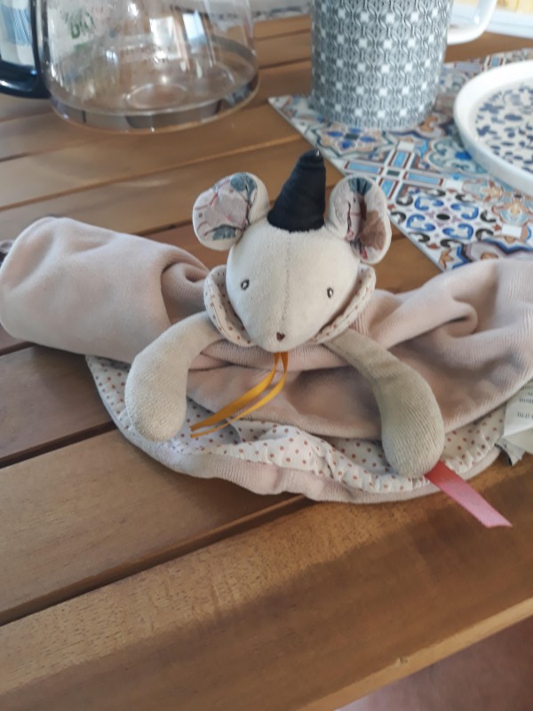 Souris perdue à St Tropez