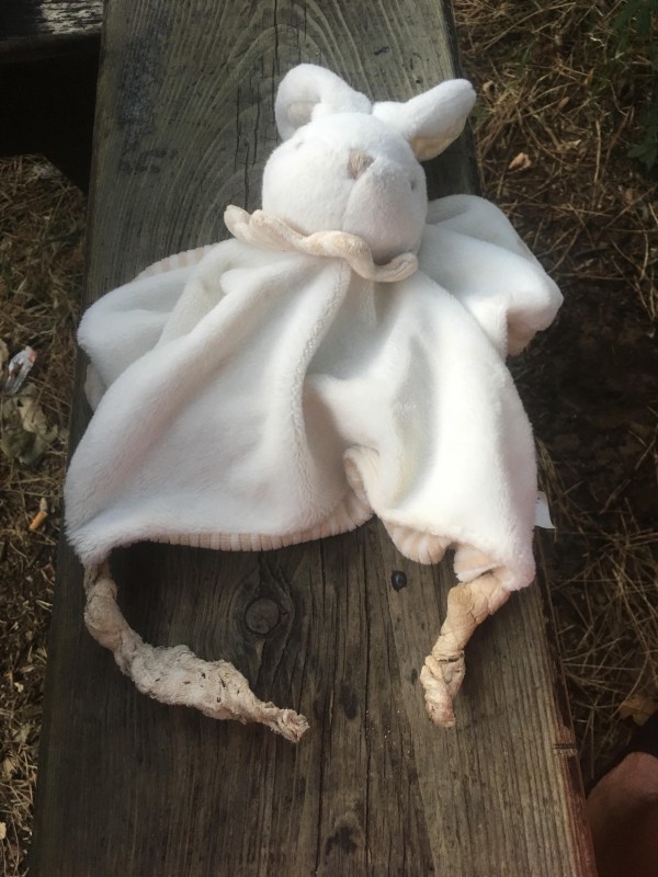 Doudou trouvé à saint Guilhem le désert le 6 juillet 2019