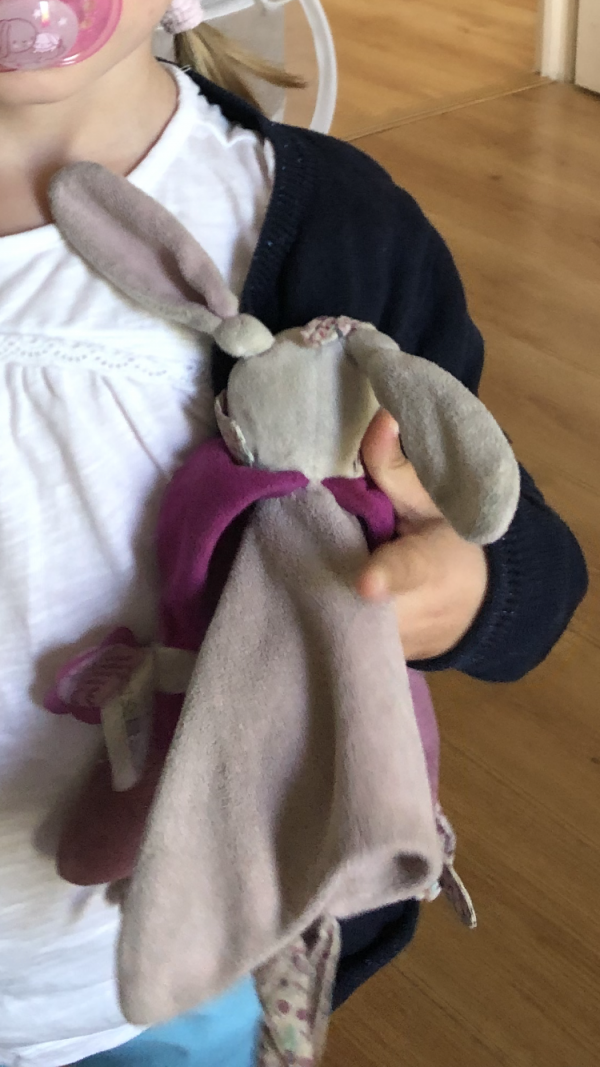 Doudou lapin doudou et compagnie