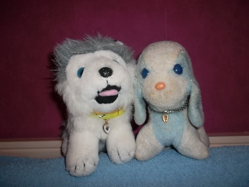 2 peluches (chiens), place de la treille/rue kleber/rue marceau, 32000 Auch