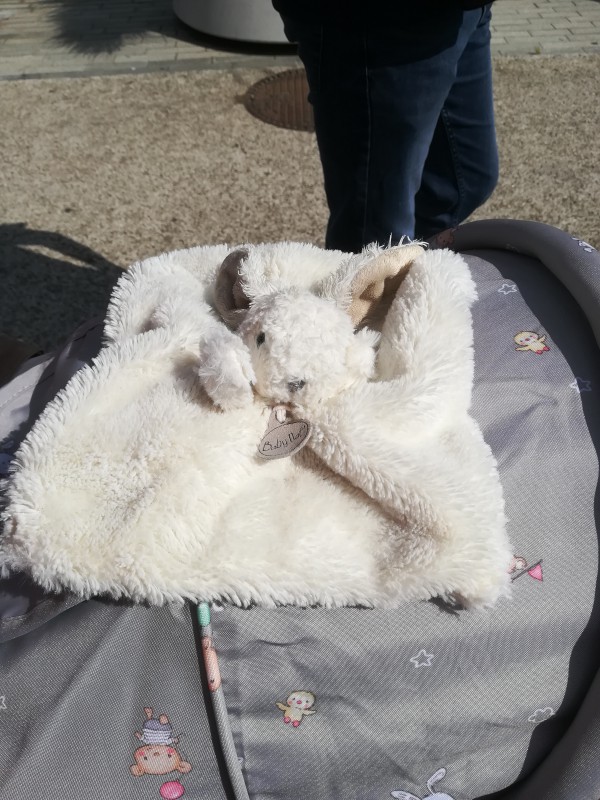 Doudou rue Jean Jaurès
