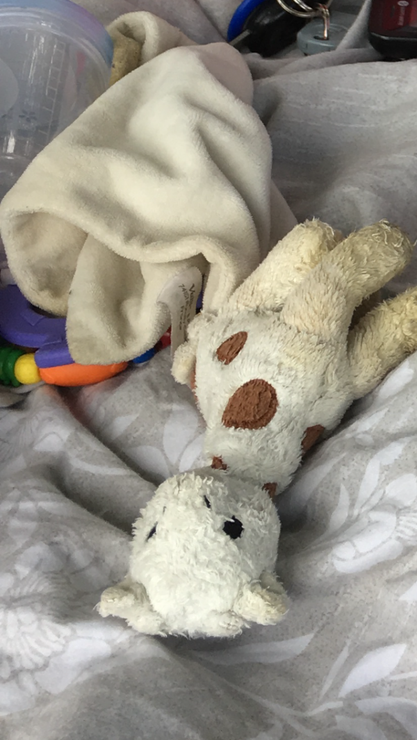 Perte de doudou