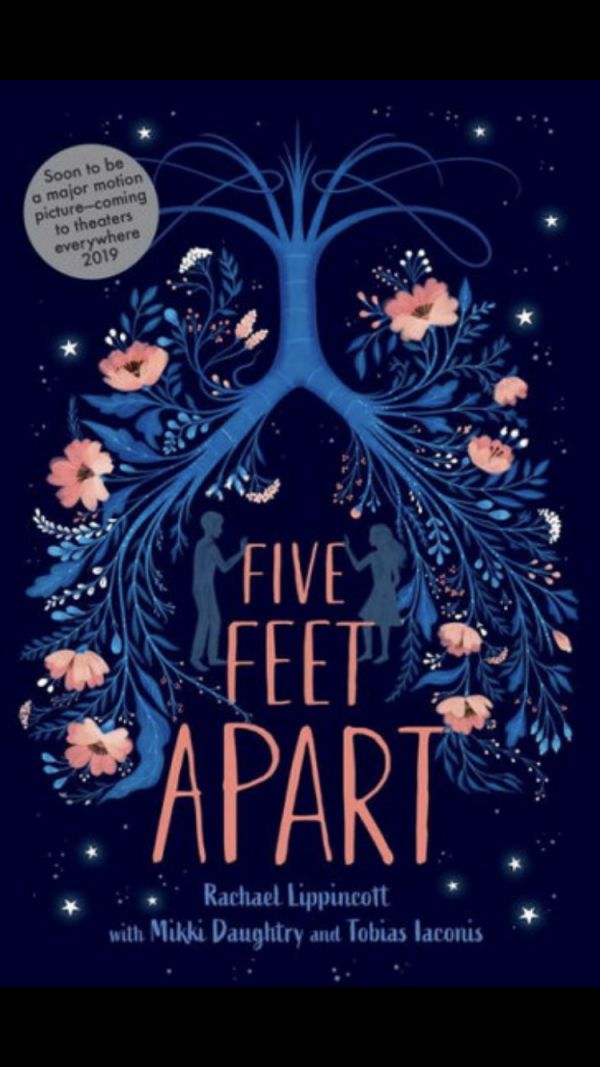 Perdu livre « FIVE FEET APART » dans avion Smartwings - Deauville à Palermo