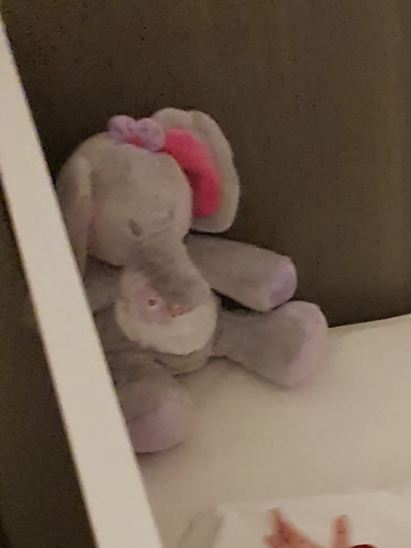 Perdu un doudou a gare du Nord